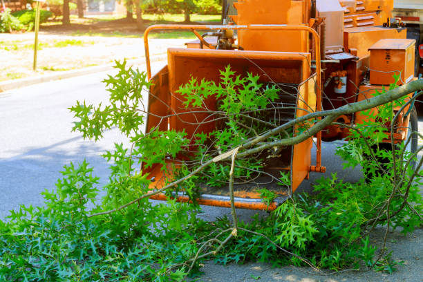 Best Organic Lawn Care Solutions  in Milwaukee, WI